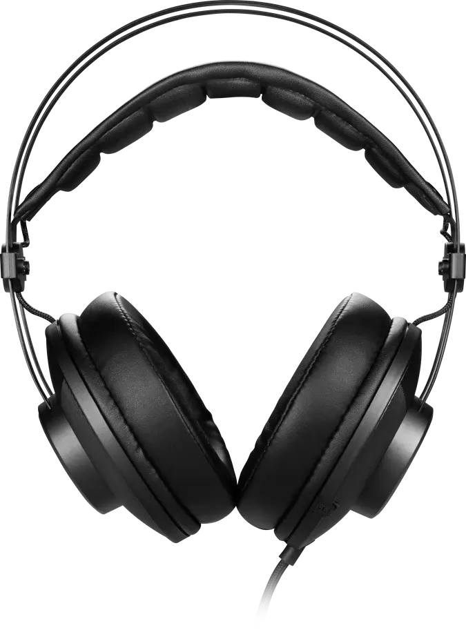 H991MSIPIdole3.webp